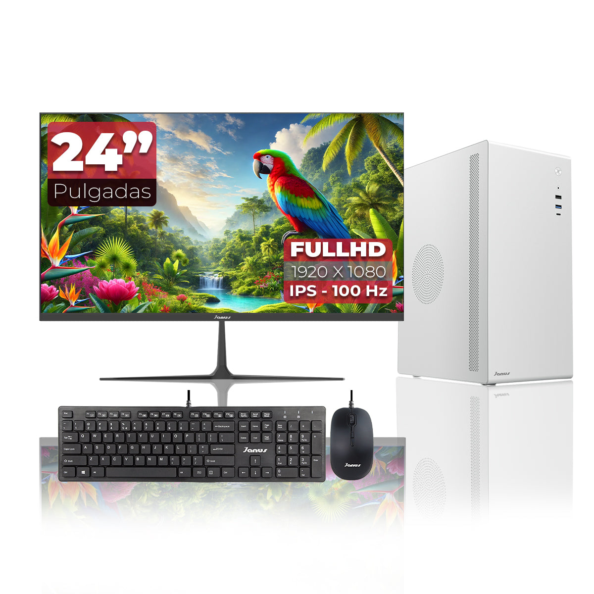 Computador De Escritorio Janus Intel Pentium G6405 Memoria Ram 8Gb Ssd 512Gb M.2   Board Cml-Hdv/M.2 Tpm R2.0    Fuente Janus 300W